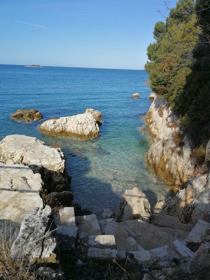 App Roko Lägenhet Poreč